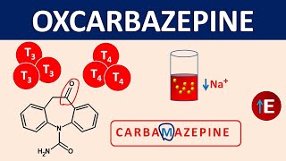 Oxcarbazepine  Mechanism side effects precautions amp uses [upl. by Postman]