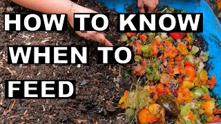 How to know when to FEED your worm bin 55 gallon worm bin [upl. by Fishback]