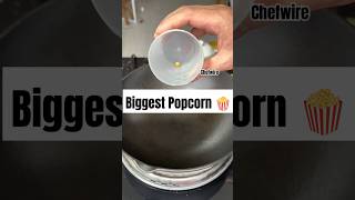 Making biggest popcorn 🍿making popcorn easyrecipe viral foodvideos instagram chefwire [upl. by Arrak]