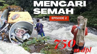 Perjalanan Ke Hutan Kalimantan Bermalam Mencari Ikan Semah Mahseer di Ketinggian 750 m dpl Episode 2 [upl. by Nylidnarb]