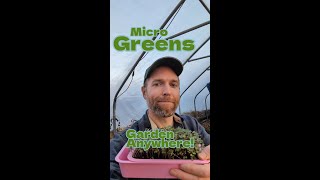 With Microgreens You Can Garden Anywhere [upl. by Gona480]