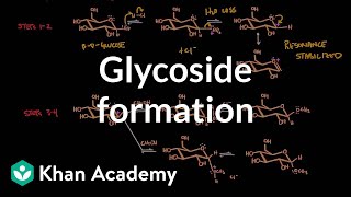 Carbohydrate  Glycoside formation hydrolysis  Chemical processes  MCAT  Khan Academy [upl. by Nenney]