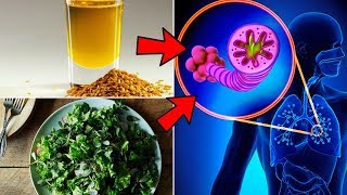 How to Cure Pulmonary Fibrosis Naturally [upl. by Alliuqaj]