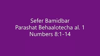 Torah Chanting  Sefer Bamidbar  Parashat Portion Behaalotecha al 1 [upl. by Elpmid]