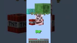 la peor ruleta tnt shorts minecraft [upl. by Gnud247]