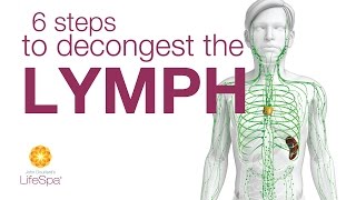 6 Steps to Decongest the Lymph  John Douillards LifeSpa [upl. by Carmelo284]