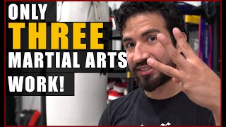 3 Best Martial Arts Styles  No Its Not Yours [upl. by Ekaj]