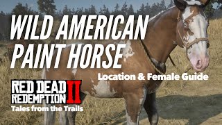 Red Dead Redemption 2 Wild American Paint Horse Location  Wolf Pack Attack [upl. by Ylen]