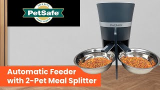 PetSafe Smart Feed Automatic Pet Feeder with 2Pet Meal Splitter for Cats and Dogs [upl. by Husein]