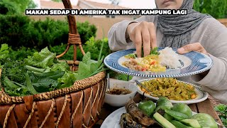 Petik Sayur Hasil Tanam Sendiri di Perkarangan Rumah Nak Makan Nasi Menu Kampung [upl. by Manton]