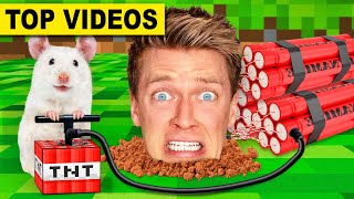 Best Hamster Maze Challenges 🐹 Minecraft vs Pancake Art  How To Escape Extreme Human Traps amp Pranks [upl. by Aryt]