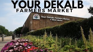 Driving to Your DeKalb Farmers Market  Atlanta [upl. by Scriven85]