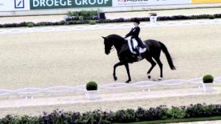 CHIO 2013 Dressage Dressur Prix St Georges [upl. by Vyse948]