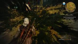 The Witcher 3  Niellen el cazador [upl. by Ycnalc902]