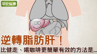 逆轉脂肪肝！比健走、喝咖啡更簡單有效的方法是…【早安健康】 [upl. by Ludlew329]