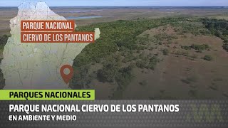 Parque Nacional Ciervo de Los Pantanos  Creado en el 2018 en la provincia de Buenos Aires [upl. by Cirtap739]