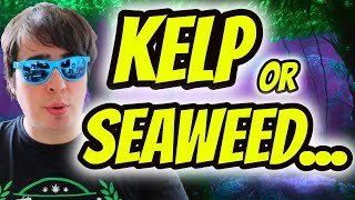 THE BIGGEST MISCONCEPTION ABOUT KELP AND SEAWEED THAT WILL AFFECT YOUR GARDEN [upl. by Child]