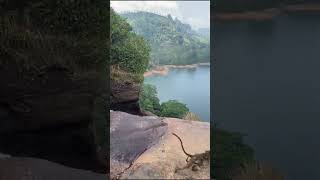 Gartmore Falls  Maskeliya Sri Lanka gartmorefalls srilanka shorts travelvlog [upl. by Aninay]