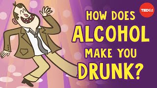 How does alcohol make you drunk  Judy Grisel [upl. by Salli]