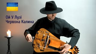 Ой У Лузі Червона Калина Ukrainian patriotic song on a Hurdy Gurdy Ukrainian Bandura Cello Drum [upl. by Shirley]