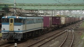 観覧注意 猫と衝突事故、緊急停車 EF65牽引貨物列車 熱田駅付近 [upl. by Jefferson]