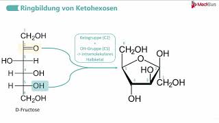 Ringbildung von AldohexosenKetohexosen [upl. by Tnomed157]