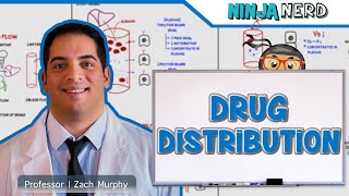 Pharmacokinetics  Drug Distribution [upl. by Assanav932]