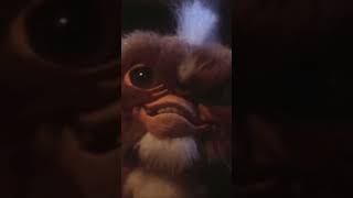 Did Gizmo remember stripe in gremlins 2 [upl. by Bonar]