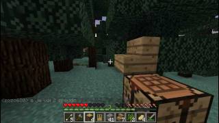 Les 5 Survivants  Ep 05  Une cabane HDFR [upl. by Dloraj907]