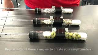 C126 Part 1  Measuring respiration using a respirometer [upl. by Demmahom378]