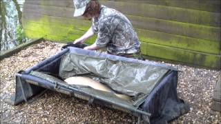 Pavyotts Mill Carp Fishing  Joshs lake  180512 [upl. by Zebedee]