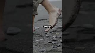 Why Walking on the Beach Is Such Beneficial Exercise shorts [upl. by Malan241]