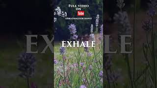 46 Breathing exercise relaxation breathwork meditation peace peacefulmind [upl. by Leonelle94]