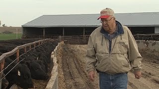 Nichols Farms Producing Better Beef [upl. by Sophey59]