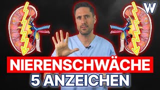 Nierenschwäche 5 Anzeichen dass Deine Nieren nicht richtig funktionieren  Typische Symptome [upl. by Glorianna]