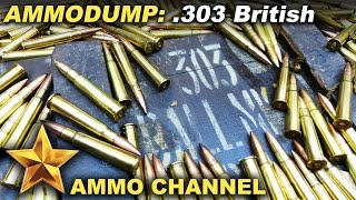 The Ammo Dump Epsiode 2 Lets talk about 303 Brit [upl. by Ahcsap118]