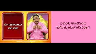 ಇಲಿಗಳ ಕಾಟದಿಂದ ಮುಕ್ತಿ  TANTRA TO GET RID OF RATS Ep1437 08Jan2024 [upl. by Flowers]