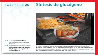 Síntesis de glucógeno Repaso capítulo 25 BQM II [upl. by Hareenum]