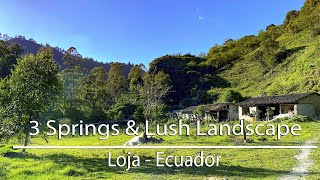 For Sale 3 Springs amp Lush Riverfront Land  Loja Ecuador Real Estate [upl. by Scot443]