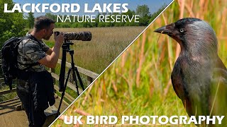 UK Bird Photography at Lackford Lakes  Sony A7IV amp Sony FE 200600mm F5663 G OSS [upl. by Mccreary]