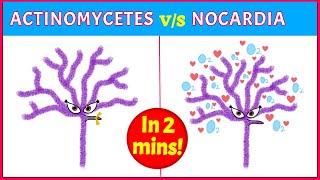 Actinomycetes Vs Nocardia Points you need to know [upl. by Kieger]