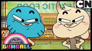 Imitation Is The Sincerest Form Of Flattery  The Copycats  Gumball  Cartoon Network [upl. by Aikmat]