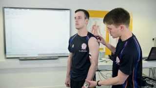 Electromyography EMG in Sport and Exercise Science [upl. by Smart778]