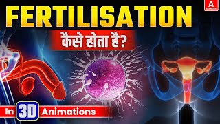 Fertilization कैसे होता है  3D Animation  Fertilization in Humans Full Process Explained [upl. by Nagirrek]