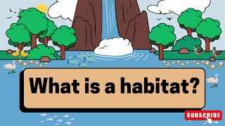 what is a habitat for kids  what is a habitat grade 4  animal habitat project [upl. by Biles]