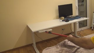 Adjustable desk SLANGERUP 80x160 White Unboxing Assembly and Test [upl. by Nedla]