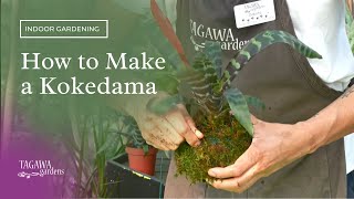 How to Make a Kokedama Plant in a Moss Ball [upl. by Mckee]