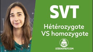 Hétérozygote VS homozygote  SVT  Terminale  Les Bons Profs [upl. by Gaivn262]