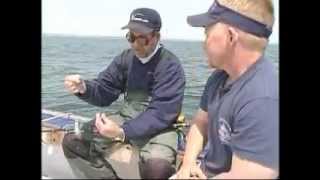 Fishing Spring Blackfish Tautog with Clams [upl. by Yrogerg660]