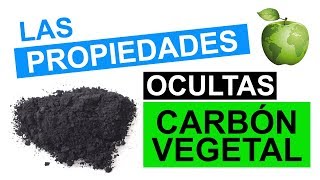 Todos los Usos y Propiedades del Carbón Vegetal [upl. by Ranip852]